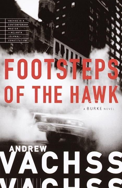Produktbild: Footsteps of the Hawk