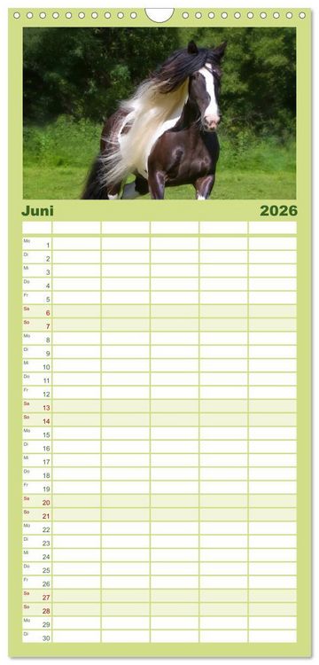 Produktbild: Familienplaner 2026 - Irish Tinker mit 5 Spalten (Wandkalender, 21 x 45 cm) CALVENDO