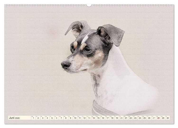 Produktbild: Bodeguero Andaluz 2026 (Wandkalender 2026 DIN A2 quer), CALVENDO Monatskalender