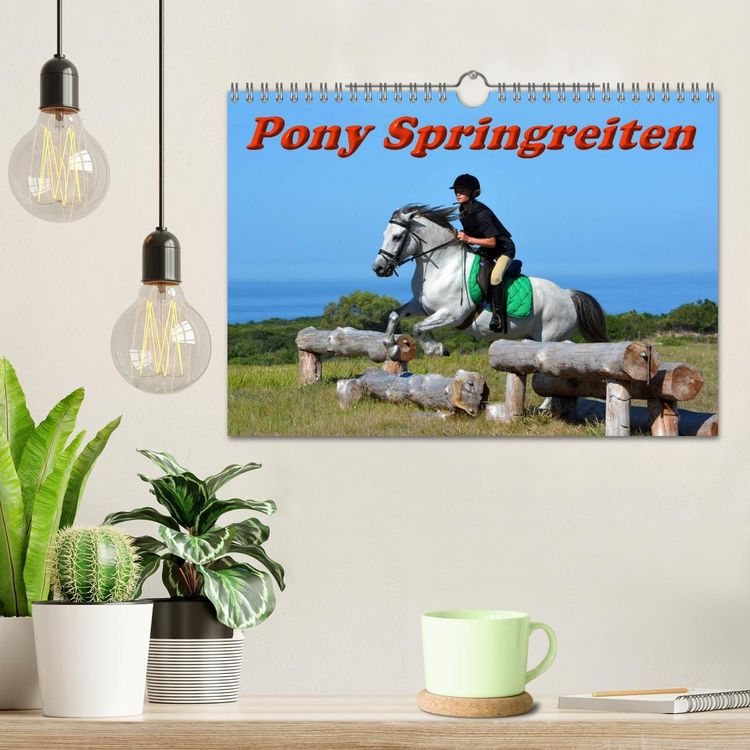 Produktbild: Pony Springreiten (Wandkalender 2026 DIN A4 quer), CALVENDO Monatskalender