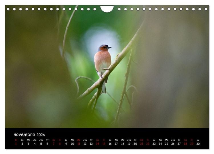 Produktbild: La nature pr&egrave;s de chez vous (Calendrier mural 2026 DIN A4 vertical), CALVENDO calendrier mensuel