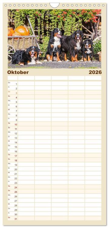 Produktbild: Familienplaner 2026 - Berner Sennenhund - Ein Freund auf vier Pfoten mit 5 Spalten (Wandkalender, 21 x 45 cm) CALVENDO