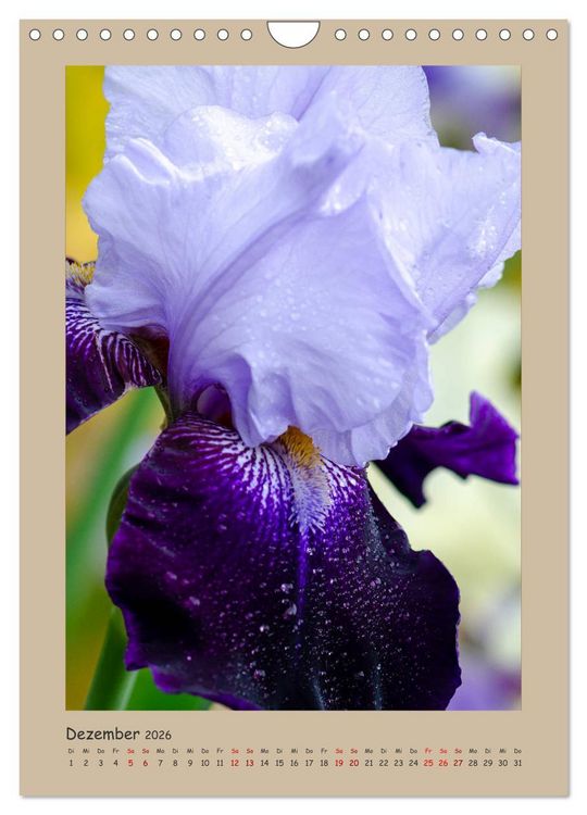 Produktbild: Zauberhafte Iris (Wandkalender 2026 DIN A4 hoch), CALVENDO Monatskalender