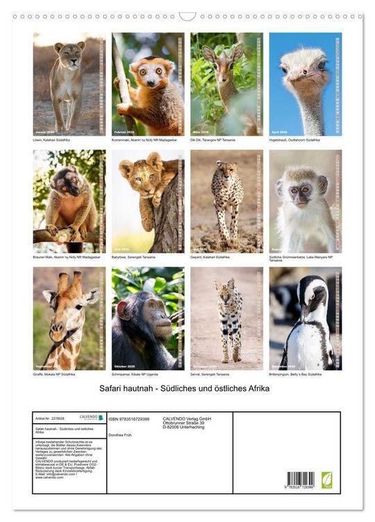 Produktbild: Safari hautnah - S&uuml;dliches und &ouml;stliches Afrika (Wandkalender 2026 DIN A2 hoch), CALVENDO Monatskalender