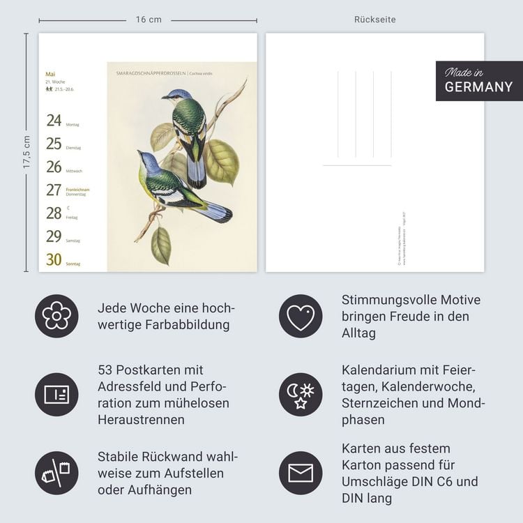 Produktbild: V&ouml;gel Postkartenkalender 2027 - Postkartenkalender mit 53 historischen Zeichnungen