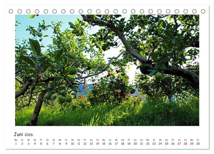 Produktbild: Tor des S&uuml;dens (Tischkalender 2026 DIN A5 quer), CALVENDO Monatskalender
