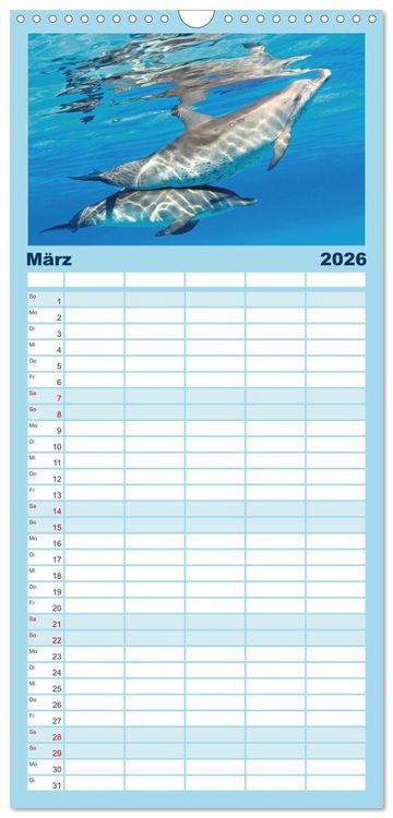 Produktbild: Familienplaner 2026 - Delfine: Elegante Wellenreiter mit 5 Spalten (Wandkalender, 21 x 45 cm) CALVENDO