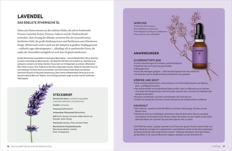 Produktbild: 6 &Auml;therische &Ouml;le f&uuml;r Einsteiger. &Uuml;ber 300 Anwendungsm&ouml;glichkeiten mit den sechs wichtigsten &Ouml;len