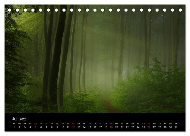 Produktbild: Mysterium Wald (Tischkalender 2026 DIN A5 quer), CALVENDO Monatskalender