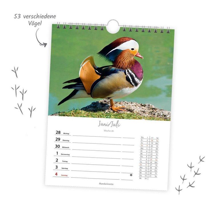 Produktbild: TR&Ouml;TSCH - Wochenkalender zum H&auml;ngen Heimische V&ouml;gel 2027