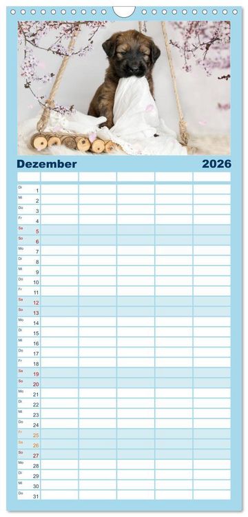 Produktbild: Familienplaner 2026 - Briardbabys in ihren ersten Wochen mit 5 Spalten (Wandkalender, 21 x 45 cm) CALVENDO