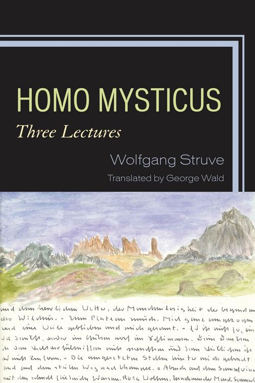 Produktbild: Homo Mysticus