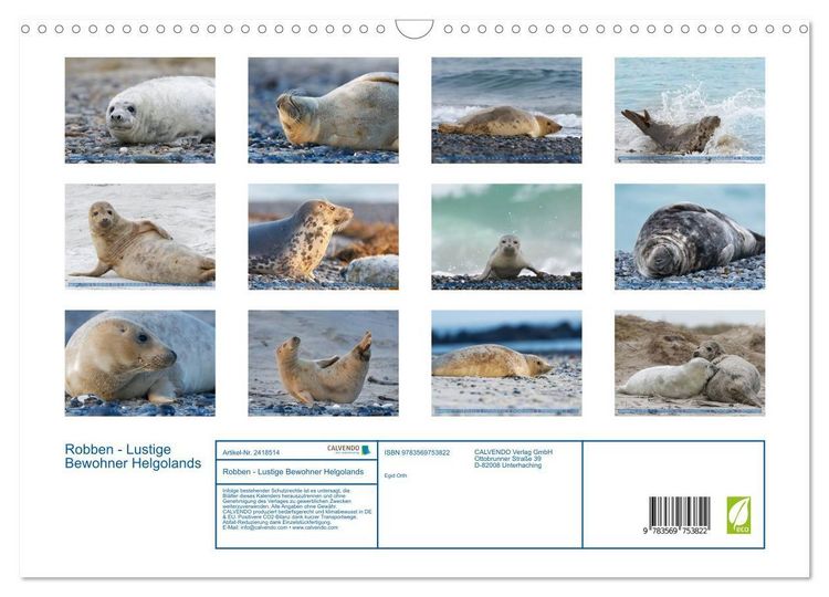 Produktbild: Robben - Lustige Bewohner Helgolands (Wandkalender 2027 DIN A3 quer), CALVENDO Monatskalender