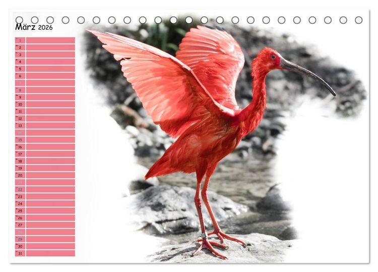 Produktbild: Tierisches Yoga (Tischkalender 2026 DIN A5 quer), CALVENDO Monatskalender