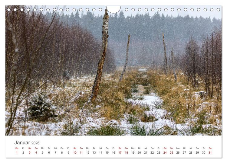 Produktbild: Naturjuwel Haspelmoor (Wandkalender 2026 DIN A4 quer), CALVENDO Monatskalender