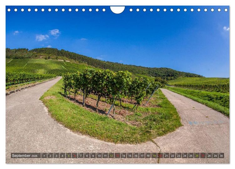 Produktbild: Weinland Franken (Wandkalender 2026 DIN A4 quer), CALVENDO Monatskalender