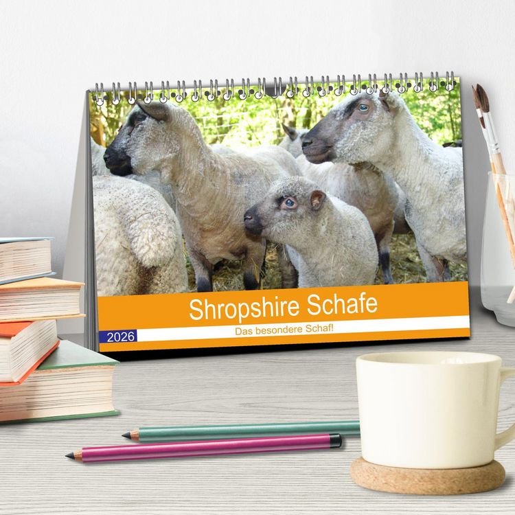 Produktbild: Shropshire Schafe (Tischkalender 2026 DIN A5 quer), CALVENDO Monatskalender