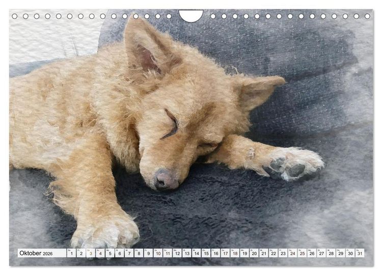 Produktbild: Niedliche Hunde - Digitale Aquarelle (Wandkalender 2026 DIN A4 quer), CALVENDO Monatskalender