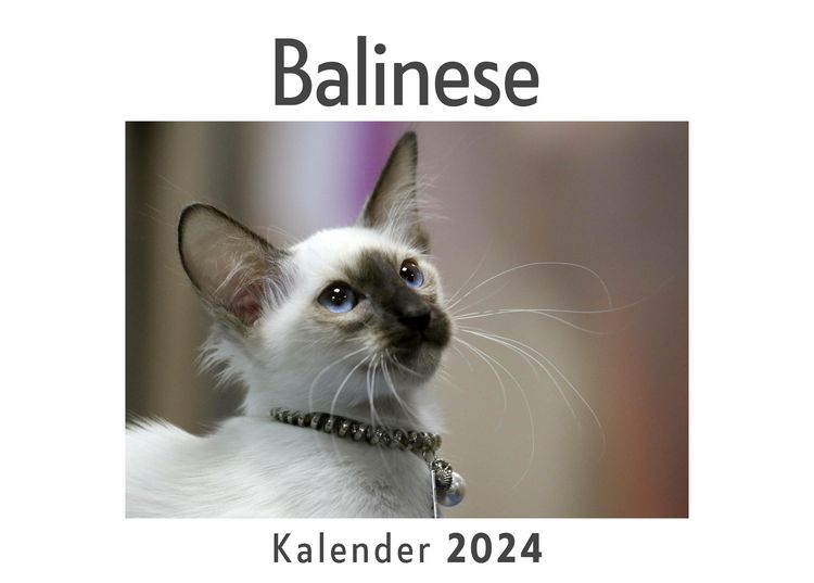 Produktbild: Balinese (Wandkalender 2024, Kalender DIN A4 quer, Monatskalender im Querformat mit Kalendarium, Das perfekte Geschenk)