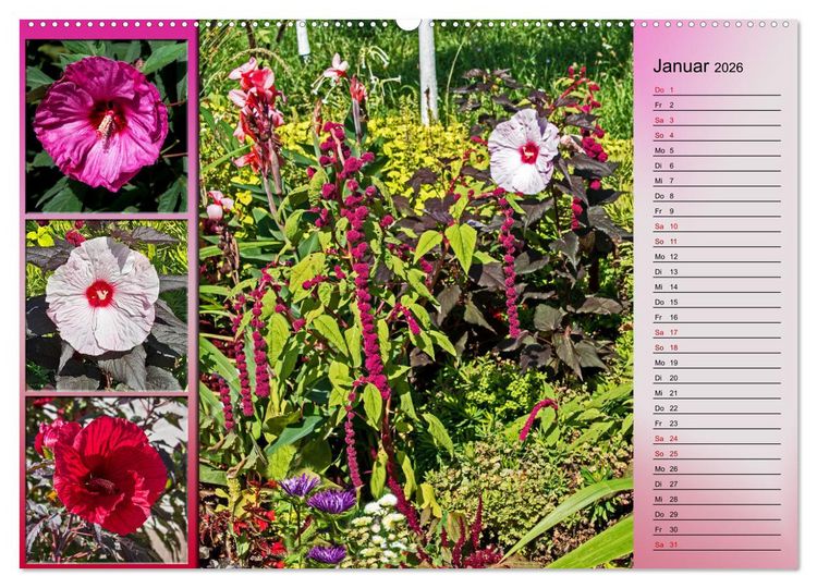 Produktbild: Bl&uuml;hende Gartenparks in Mannheim (hochwertiger Premium Wandkalender 2026 DIN A2 quer), Kunstdruck in Hochglanz