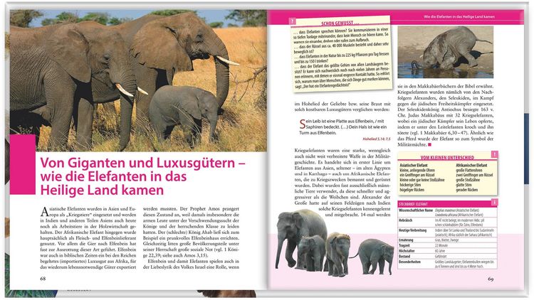 Produktbild: Was f&uuml;r ein Gewimmel &ndash; Die Tiere der Bibel f&uuml;r Kinder