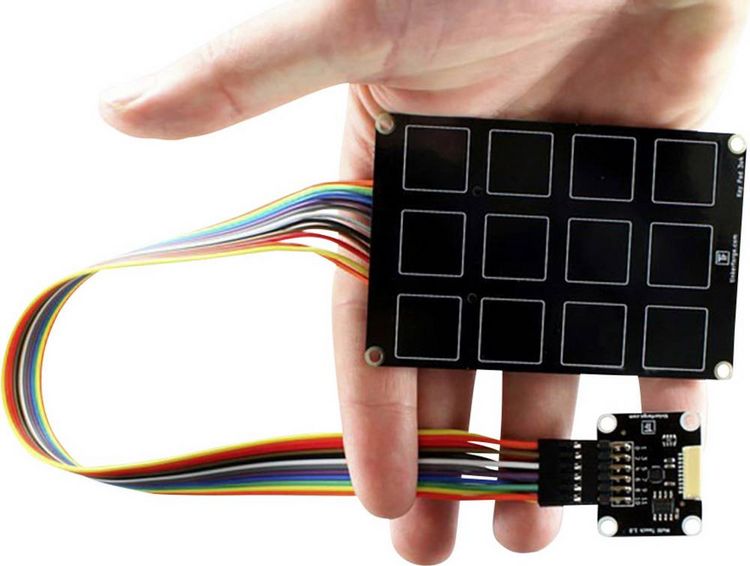 Produktbild: TinkerForge Jumper-Kabel Raspberry Pi&reg;, TinkerForge [12x Drahtbr&uuml;cken-Buchse - 12x Drahtbr&uuml;cken-Buchse] 30.00 cm Bunt
