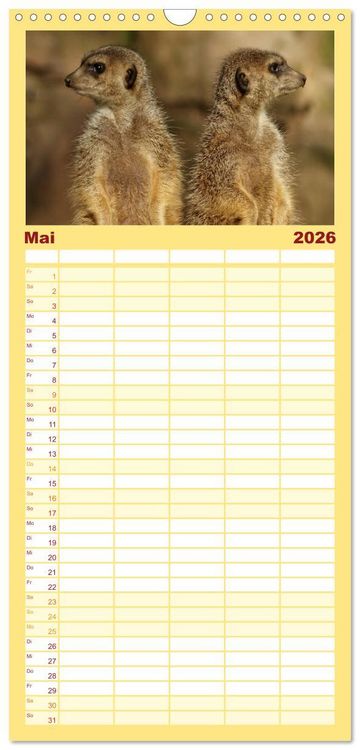 Produktbild: Familienplaner 2026 - Erdm&auml;nnchen - Zusammen sind wir stark mit 5 Spalten (Wandkalender, 21 x 45 cm) CALVENDO