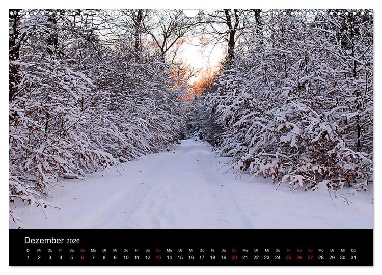 Produktbild: Meine Heimat Westerwald (Wandkalender 2026 DIN A3 quer), CALVENDO Monatskalender