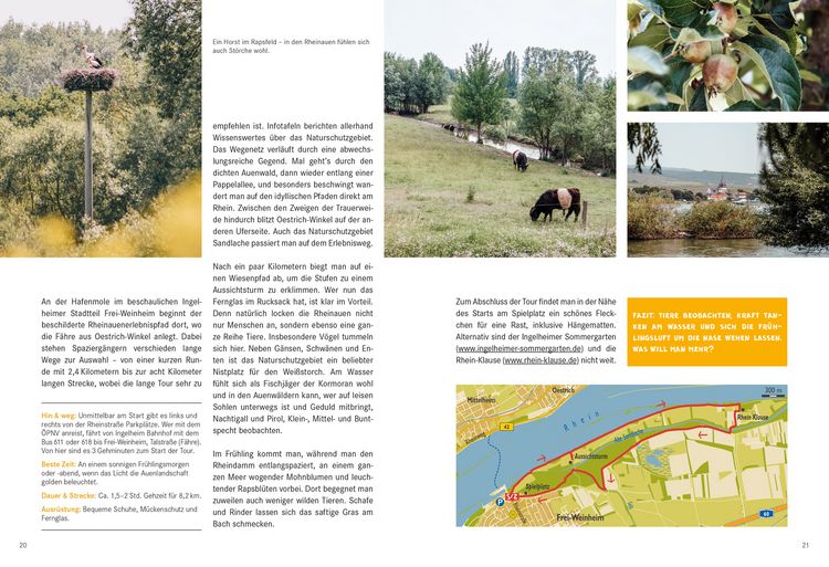 Produktbild: 52 kleine & gro&szlig;e Eskapaden in Rheinhessen