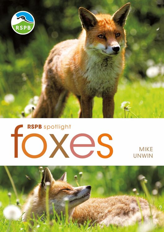 Produktbild: RSPB Spotlight: Foxes