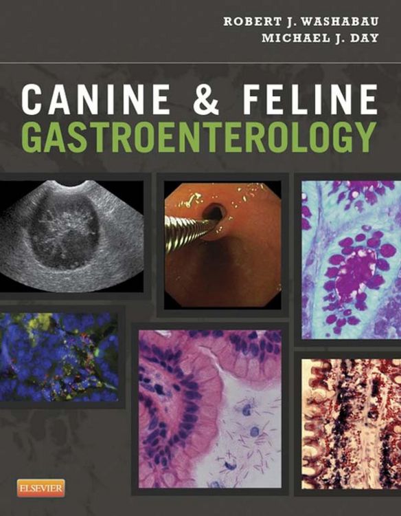 Produktbild: Canine and Feline Gastroenterology