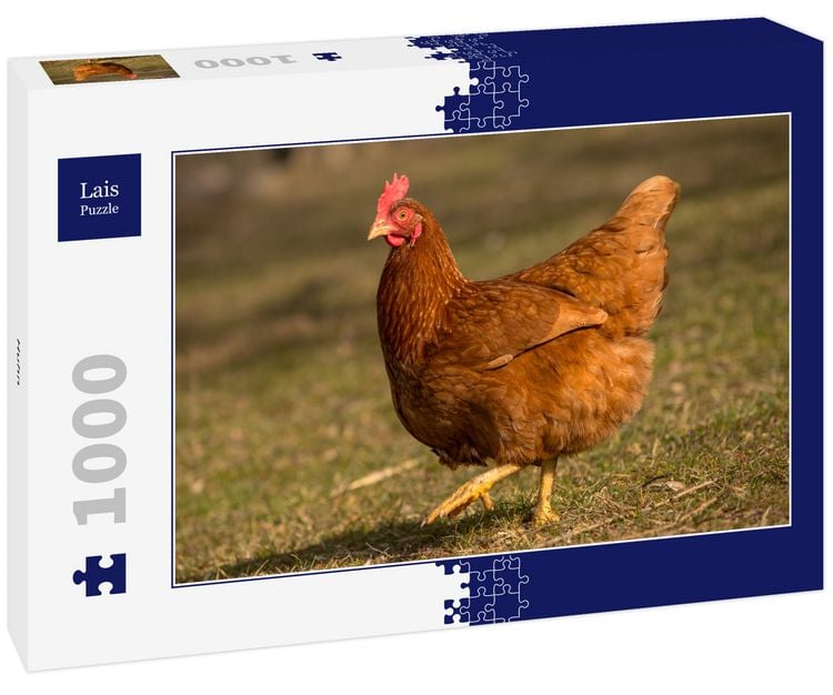 Produktbild: Lais Puzzle Huhn 1000 Teile