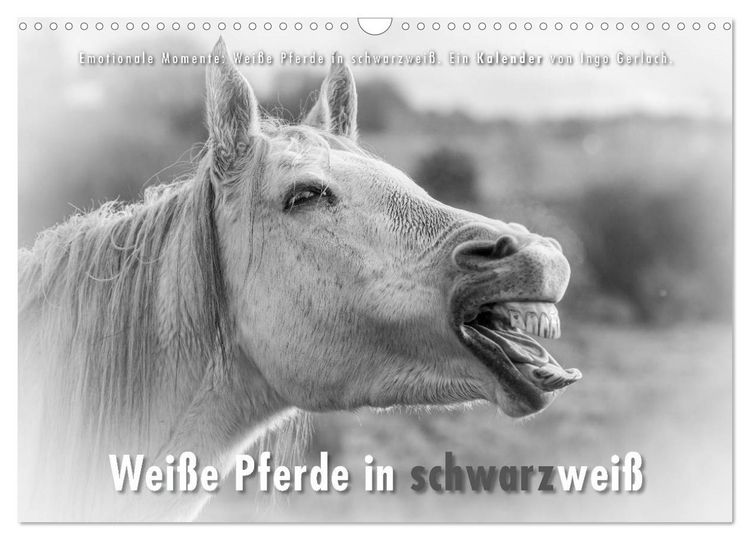Produktbild: Emotionale Momente: Wei&szlig;e Pferde in schwarzwei&szlig;. (Wandkalender 2026 DIN A3 quer), CALVENDO Monatskalender