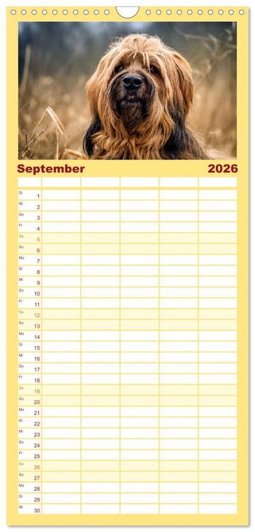 Produktbild: Familienplaner 2026 - Der Briard - Ein echter Charmeur mit 5 Spalten (Wandkalender, 21 x 45 cm) CALVENDO