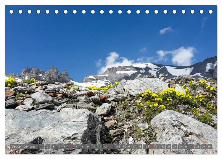 Produktbild: Flora der Alpen (Tischkalender 2026 DIN A5 quer), CALVENDO Monatskalender