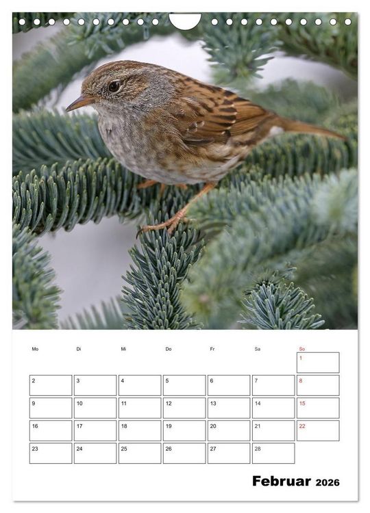 Produktbild: Bezaubernde V&ouml;gel im heimischen Garten (Wandkalender 2026 DIN A4 hoch), CALVENDO Monatskalender