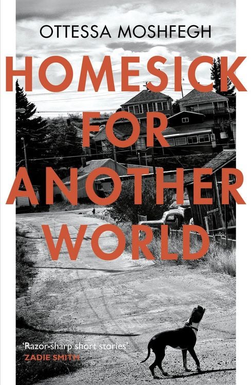 Produktbild: Homesick For Another World
