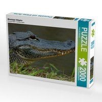 Produktbild: CALVENDO Puzzle Missisippi Alligator 2000 Teile Lege-Gr&ouml;&szlig;e 90 x 67 cm Foto-Puzzle Bild von Dieter-M. Wilczek