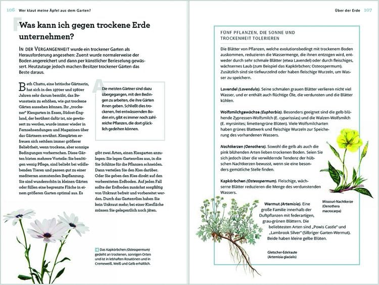 Produktbild: Wer klaut meine &Auml;pfel aus dem Garten