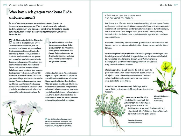 Produktbild: Wer klaut meine &Auml;pfel aus dem Garten