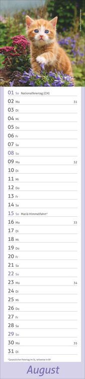 Produktbild: times&more Katzen Langplaner 2027