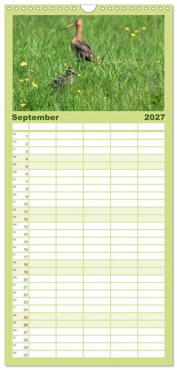 Produktbild: Familienplaner 2027 - Die bedrohten Uferschnepfen mit 5 Spalten (Wandkalender, 21 x 45 cm) CALVENDO
