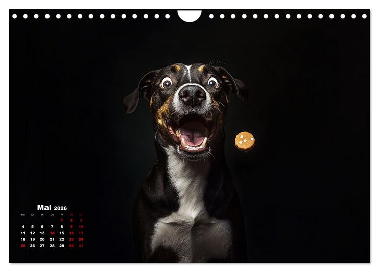 Produktbild: Leckerchen! (Wandkalender 2026 DIN A4 quer), CALVENDO Monatskalender