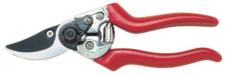 Produktbild: C.K G5631 Premium Astschere 215mm Bypass