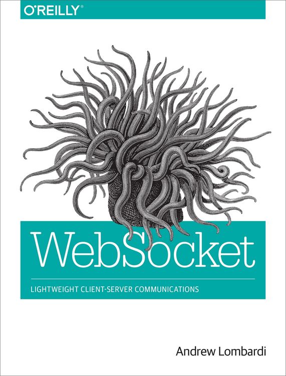 Produktbild: WebSocket