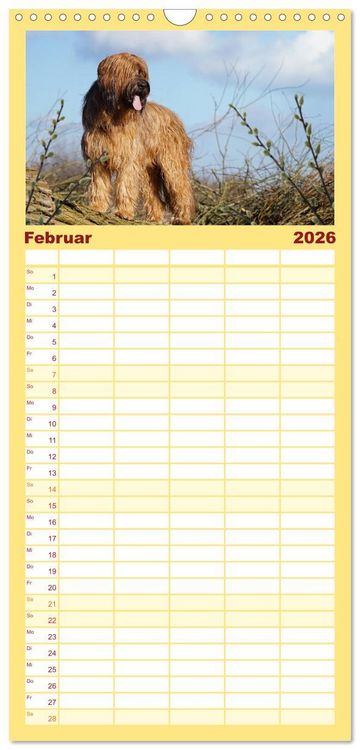 Produktbild: Familienplaner 2026 - Der Briard - Ein echter Charmeur mit 5 Spalten (Wandkalender, 21 x 45 cm) CALVENDO