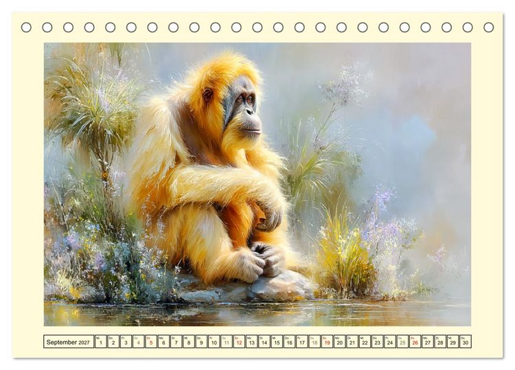 Produktbild: Orang-Utans. Verspielt und voller Lebensfreude (Tischkalender 2027 DIN A5 quer), CALVENDO Monatskalender