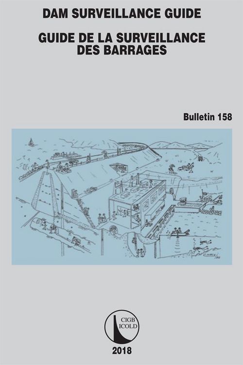 Produktbild: Dam Surveillance Guide