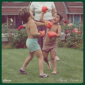 Produktbild: Flying Dream 1 (Ltd. Transparent Vinyl)