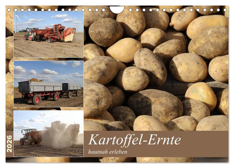 Produktbild: Kartoffel-Ernte - hautnah erleben (Wandkalender 2026 DIN A4 quer), CALVENDO Monatskalender